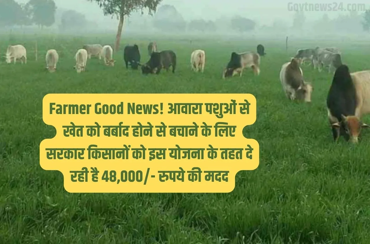 Farmer Good News